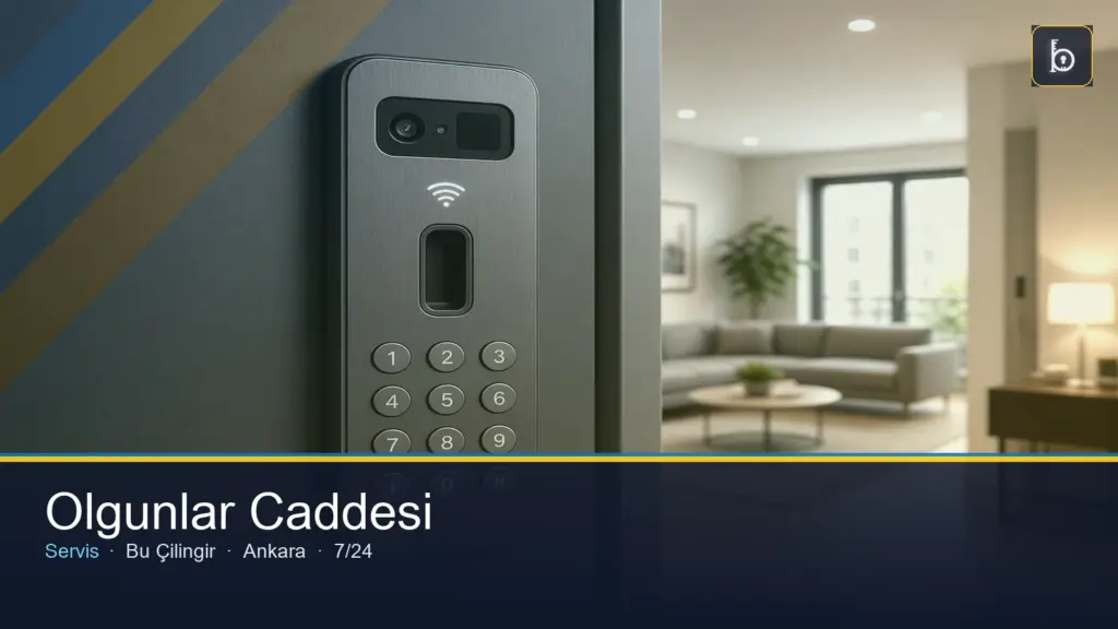 Olgunlar Caddesi çilingir 7/24 yerinde servis